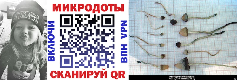 Галлюциногенные грибы ЛСД  Ак-Довурак 